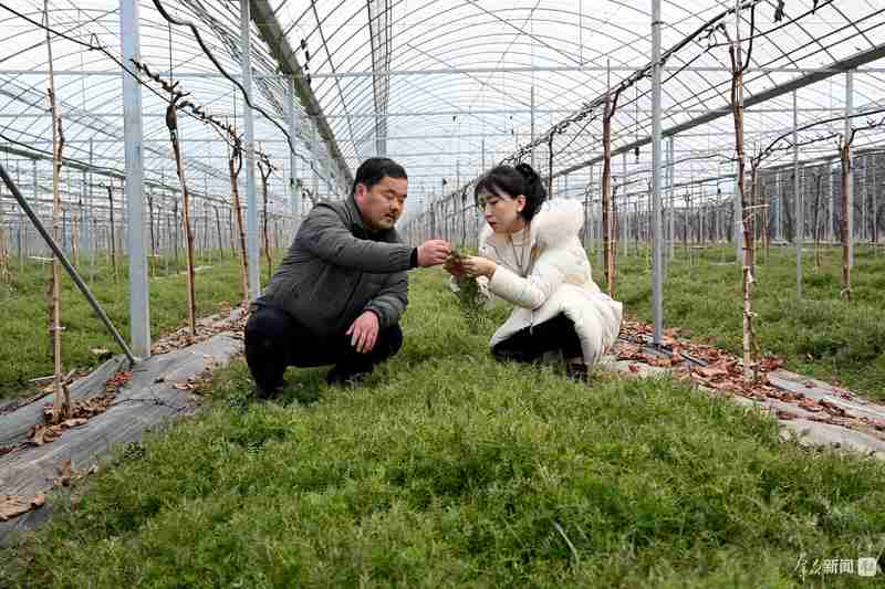  春日田园生机盎然；技术创新驱动变革；生态路径引领未来——西安“三部曲”重塑农业竞争力。 文化旅游