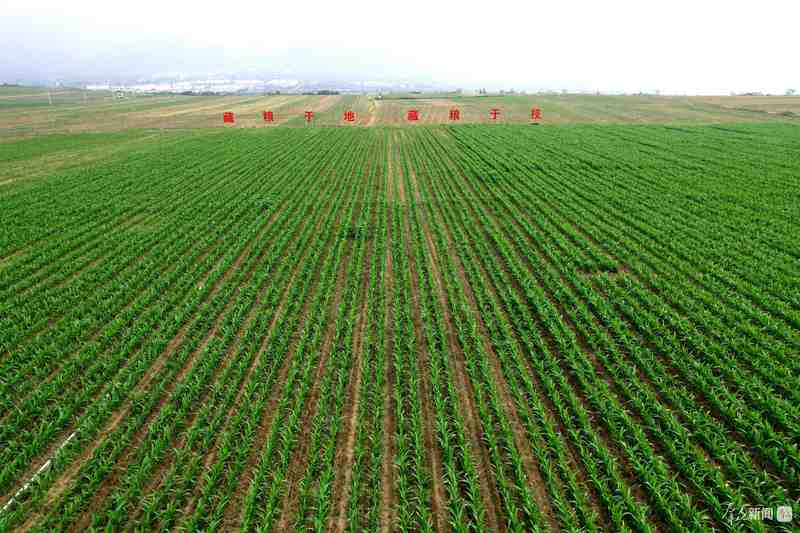  春日田园生机盎然；技术创新驱动变革；生态路径引领未来——西安“三部曲”重塑农业竞争力。 文化旅游