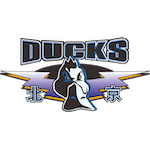  绝境中的战术坚守：北京队教练组的战地笔记 体育新闻