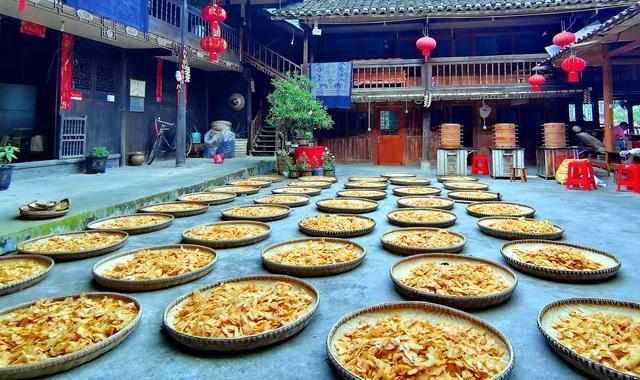 黄精产业链技术解码:从育种到全球市场的全链条创新方法论 新闻