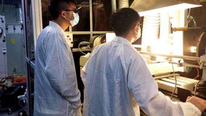 黄精产业链技术解码:从育种到全球市场的全链条创新方法论 新闻