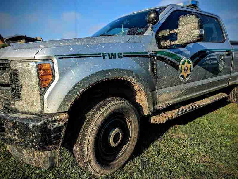 技术架构的灰色地带:野生动物保护数据如何成为移民执法的侧门入口 IT技术