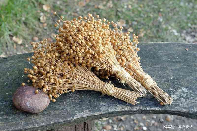 妈妈没读过几年书，却用三个问题帮我看清了婚姻的第一道坎 情感心理