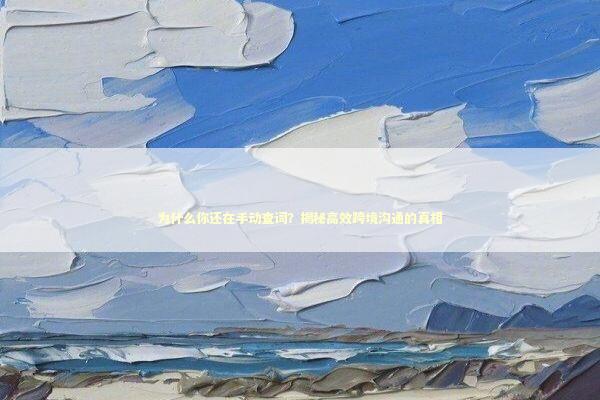 为什么你还在手动查词？揭秘高效跨境沟通的真相 IT技术