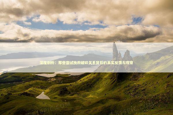 深度剖析：那些尝试挽救破碎关系背后的真实反馈与观察 情感心理