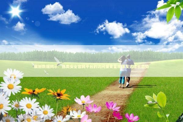 震撼数据揭示：这类安全官网平台的访问量竟呈现爆发式增长态势 IT技术