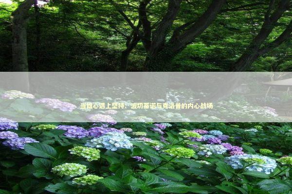 当雄心遇上坚持：波切蒂诺与克洛普的内心战场 体育新闻