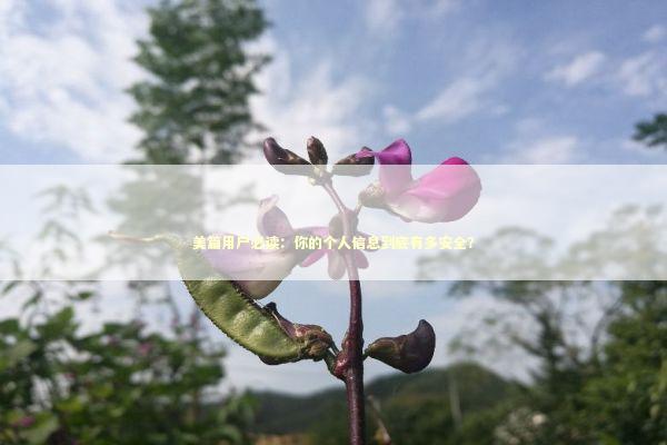 美篇用户必读：你的个人信息到底有多安全？ IT技术