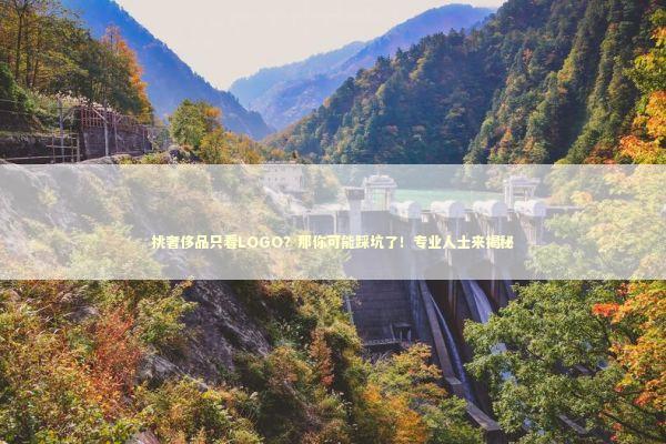 挑奢侈品只看LOGO？那你可能踩坑了！专业人士来揭秘 时尚用品