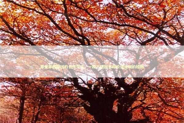 那些年我踩过的合作深坑，一段不堪回首却价值连城的经历 企业服务