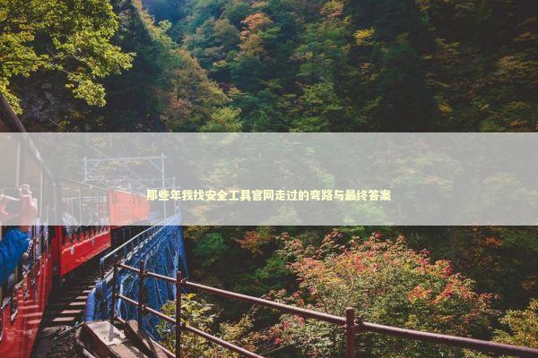 那些年我找安全工具官网走过的弯路与最终答案 IT技术